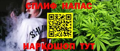 крисы Донской