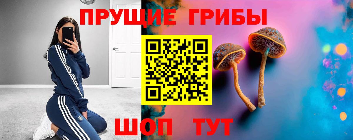 Ноябрьск  Галлюциногенные грибы Cubensis  Вход с VPN 